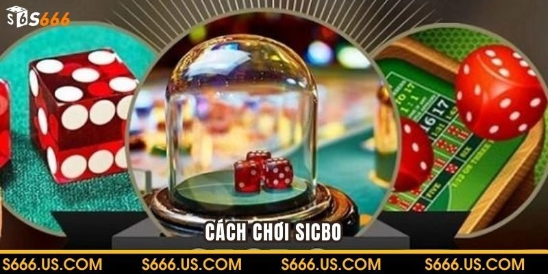 Cách chơi game Sicbo